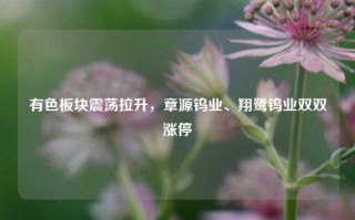 有色板块震荡拉升，章源钨业、翔鹭钨业双双涨停