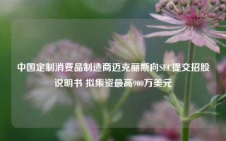 中国定制消费品制造商迈克丽斯向SEC提交招股说明书 拟集资最高900万美元