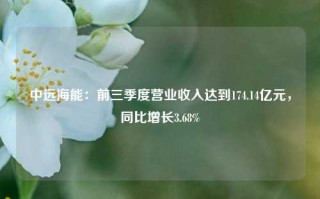 中远海能：前三季度营业收入达到174.14亿元，同比增长3.68%