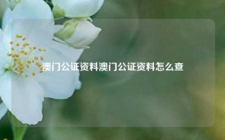 澳门公证资料澳门公证资料怎么查