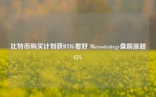 比特币购买计划获BTIG看好 Microstrategy盘前涨超15%