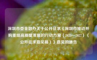 深圳市委金融办关于公开征求《深圳市推动并购重组高质量发展的行动方案（2025—2027）（公开征求意见稿）》意见的通告