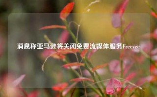 消息称亚马逊将关闭免费流媒体服务Freevee