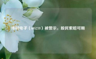 伟时电子（605218）被警示，股民索赔可期