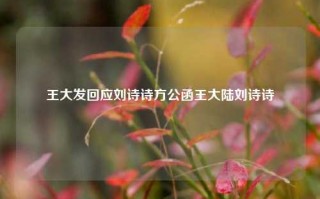 王大发回应刘诗诗方公函王大陆刘诗诗