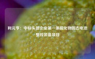 利元亨：中标头部企业第一条硫化物固态电池整线装备项目