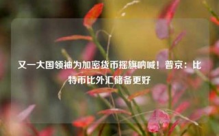 又一大国领袖为加密货币摇旗呐喊！普京：比特币比外汇储备更好