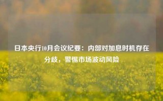 日本央行10月会议纪要：内部对加息时机存在分歧，警惕市场波动风险