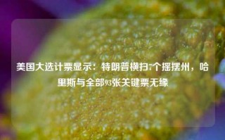 美国大选计票显示：特朗普横扫7个摇摆州，哈里斯与全部93张关键票无缘