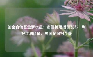 创金合信基金罗水星：市值管理指引发布 利好红利价值、央国企风格个股