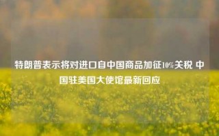 特朗普表示将对进口自中国商品加征10%关税 中国驻美国大使馆最新回应