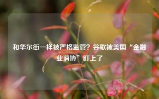 和华尔街一样被严格监管？谷歌被美国“金融业消协”盯上了