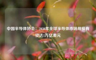 中国半导体协会：2030年全球半导体市场规模有望达1万亿美元