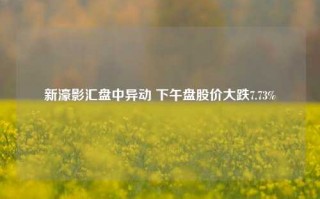 新濠影汇盘中异动 下午盘股价大跌7.73%