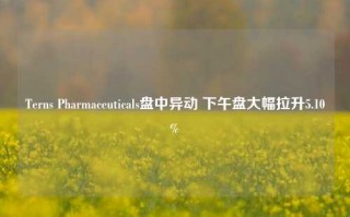 Terns Pharmaceuticals盘中异动 下午盘大幅拉升5.10%