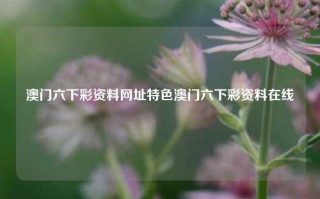 澳门六下彩资料网址特色澳门六下彩资料在线