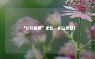 “超级细菌”危机，迫在眉睫！