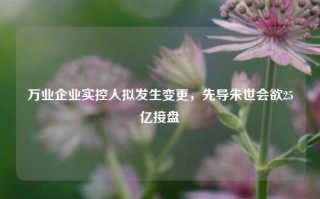 万业企业实控人拟发生变更，先导朱世会欲25亿接盘