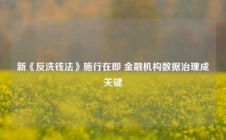 新《反洗钱法》施行在即 金融机构数据治理成关键