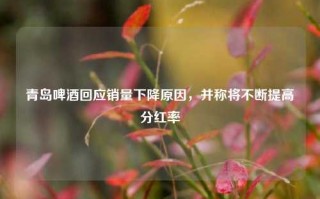 青岛啤酒回应销量下降原因，并称将不断提高分红率