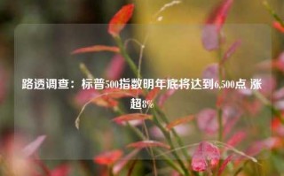 路透调查：标普500指数明年底将达到6,500点 涨超8%