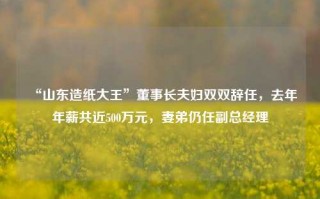 “山东造纸大王”董事长夫妇双双辞任，去年年薪共近500万元，妻弟仍任副总经理