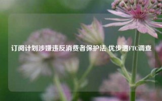 订阅计划涉嫌违反消费者保护法 优步遭FTC调查