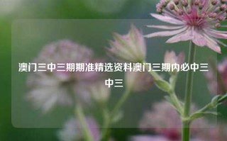 澳门三中三期期准精选资料澳门三期内必中三中三