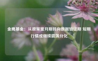 金鹰基金：从政策蜜月期转向数据验证期 短期行情或继续震荡分化