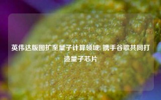 英伟达版图扩至量子计算领域! 携手谷歌共同打造量子芯片