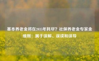 基本养老金将在2035年耗尽？社保养老金专家金维刚：属于误解、误读和误导