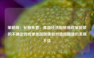 策略师：长期来看，美国经济和贸易政策前景的不确定性或使美国国债相对德国国债的表现不佳