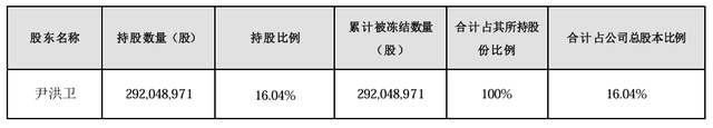 大股东持股遭八次轮候冻结，岭南股份流动性危机何解-第1张图片-特色小吃做法