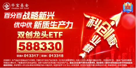 高弹性魅力凸显！科创板狂飙，硬科技宽基——双创龙头ETF（588330）盘中涨逾2%，华大九天20CM涨停-第2张图片-特色小吃做法