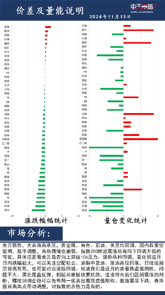 中天策略:11月13日市场分析-第2张图片-特色小吃做法