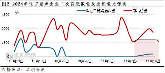 卓创资讯：16元线刺激二育补栏情绪？辽宁生猪市场行情究竟如何-第4张图片-特色小吃做法