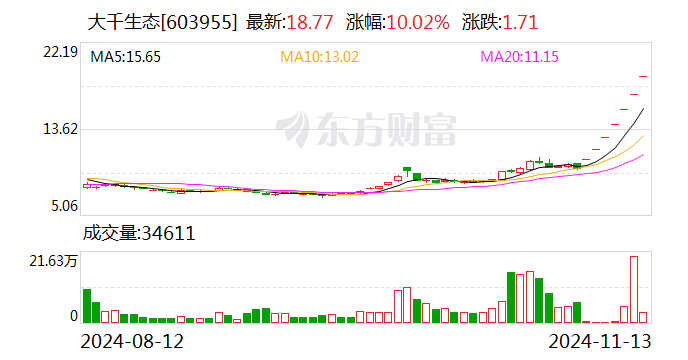 7连板大千生态：滚动市盈率和市净率均显著高于平均水平-第1张图片-特色小吃做法