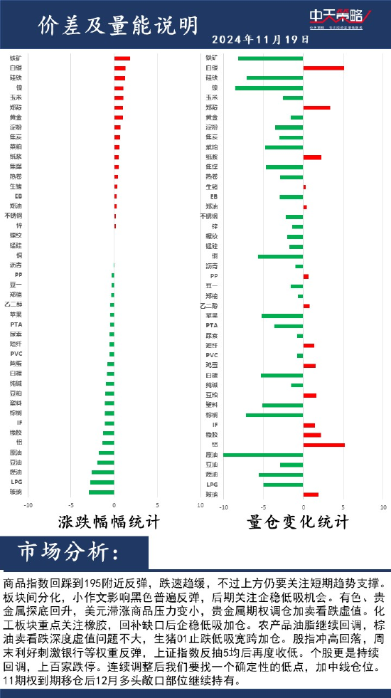 中天策略:11月19日市场分析-第2张图片-特色小吃做法