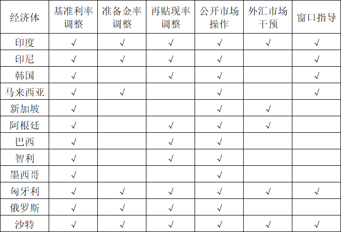 新兴市场货币政策传导机制有效性研究-第2张图片-特色小吃做法