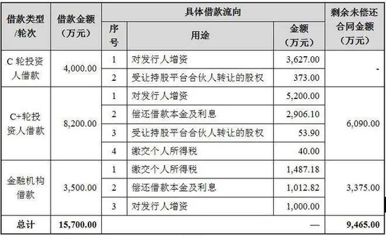 胜科纳米IPO：实控人举债增持公司股份，二十年押上全部身家，办出“芯片全科医院”-第2张图片-特色小吃做法