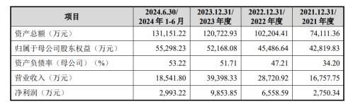 举债一个亿增持承诺60个月不减持北大学霸携 芯片医院 冲刺科创板-第5张图片-特色小吃做法