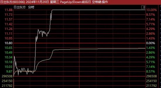 13天11板、12连板牛股，最新发声！-第2张图片-特色小吃做法