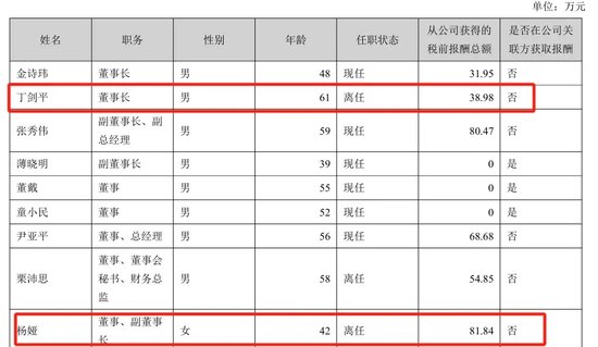 美女总经理带头财务造假,海伦哲索赔2.48亿-第3张图片-特色小吃做法