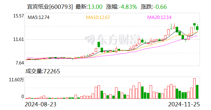 宜宾纸业：子公司拟投建两项目 项目总投资合计5.4亿元-第1张图片-特色小吃做法