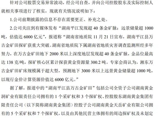 一地发现超40条金矿脉，这只黄金股躺赢？公司最新回应！AI医疗有新利好-第3张图片-特色小吃做法