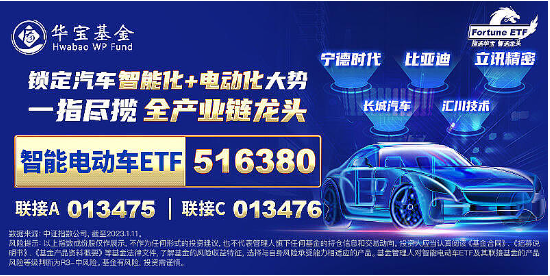 A股缩量盘整，固态电池逆市爆发，智能电动车ETF（516380）盘中上探2.5%！红利风起，坚守长期主义-第6张图片-特色小吃做法