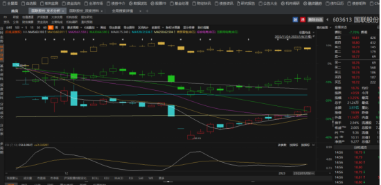 国联股份索赔条件明确！-第2张图片-特色小吃做法