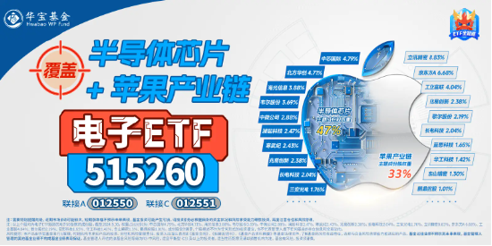 重磅！工信部等十二部门印发5G方案！电子ETF（515260）盘中摸高0．82%，立讯精密涨逾2%-第2张图片-特色小吃做法