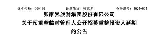 张家界预重整，被大庸古城“拖累”，投资超20亿每天平均购票不到20人-第2张图片-特色小吃做法