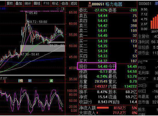 捂股格力老股民：这20只一生投资一次足以养家糊口的蓝筹白马股值得关注，建议先收藏，买入不慌，收益翻番-第4张图片-特色小吃做法